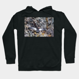 Condor Cleaning Himself - Lake Argentina, Argentina Hoodie